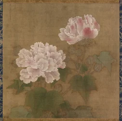 Rote und weiße Baumwollrosen